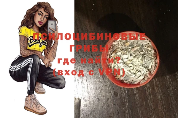 шишки Краснотурьинск