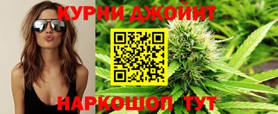 гидропоника Гусев