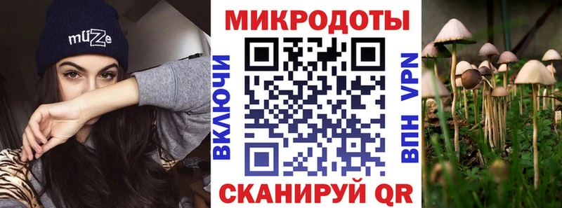 Псилоцибиновые грибы Psilocybine cubensis  Нефтекамск 