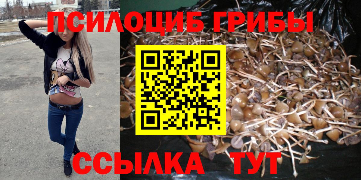 Псилоцибиновые грибы MAGIC MUSHROOMS Нефтекамск
