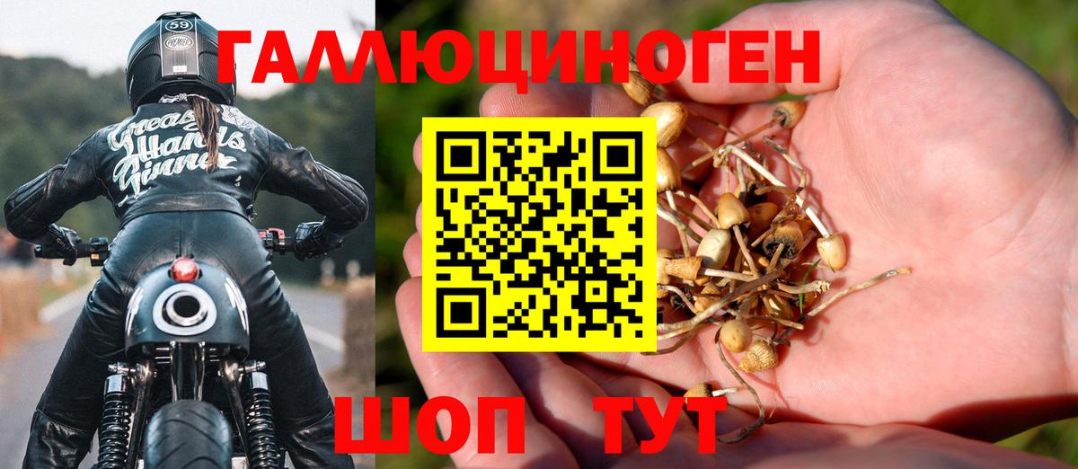 Нефтекамск  где купить наркоту  Вход с VPN  Псилоцибиновые грибы Psilocybe 